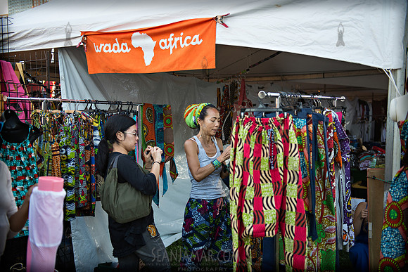 Afropunk Festival - Commodore Barry Park - BK USA - 2013