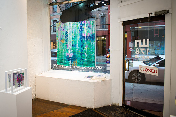 Agneta Livijn - Maldives Flowers & Interiors - Ward Nasse Gallery - SoHo NYC - 2016