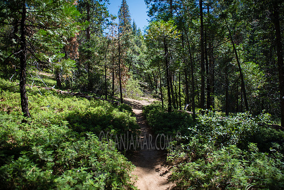 Adventure Day - Chilnualna Falls Hike - Yosemite National Park - Wawona CA - 2017