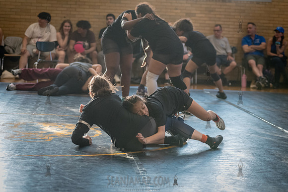 PSAL Girls Team Wrestling Championship - Grover Cleveland HS - N
