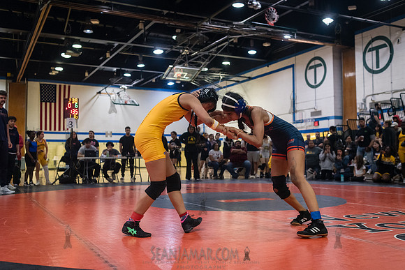 PSAL Girls Individual Championships - Harry S Truman HS - NYC -