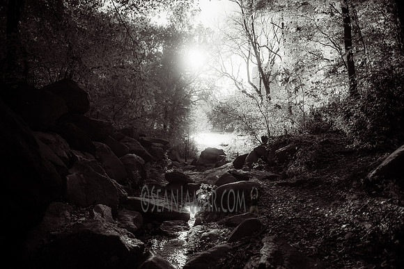 Adventure Day - Central Park - NYC - 2016