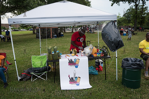 2019-07-06 NYC SummerStage - Ralph McDaniels Soul and Funk Jam - Springfield Park - NYC-52.jpg