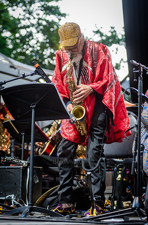 Sun Ra Arkestra - CPF SummerStage - Kim Gordon - Rumsey Playfiel