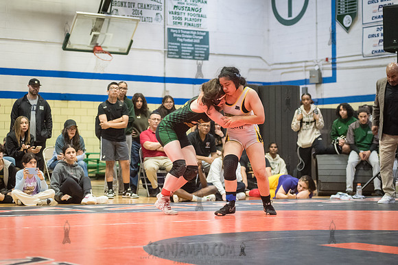 PSAL Girls Individual Championships - Harry S Truman HS - NYC -