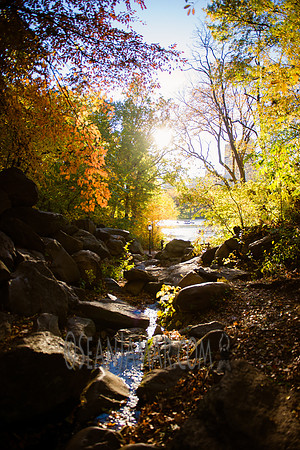 Adventure Day - Central Park - NYC - 2016