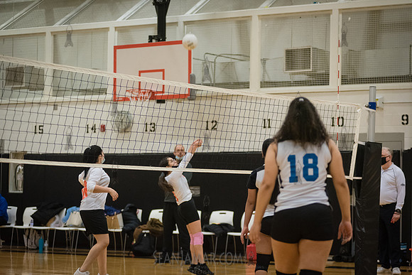 MPL Girls Volleyball Championship - Mott Haven Campus - The Bronx - 2021