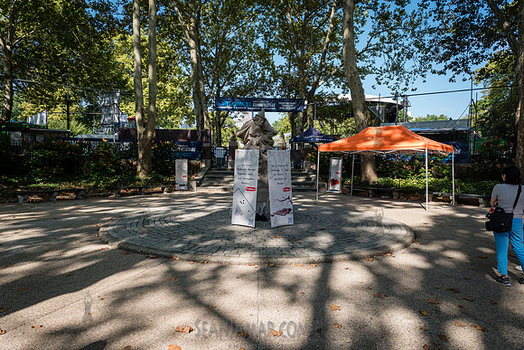 CPF SummerStage 2024 (RENTAL): Korea - US Friendship Culture Fes