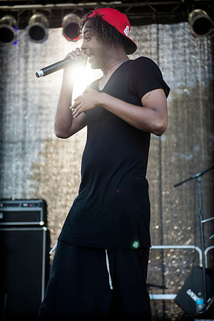 Danny Brown - Afropunk Festival - Commodore Barry Park - BK USA