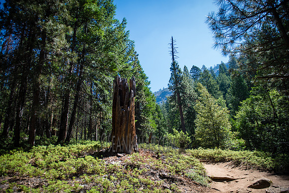 Adventure Day - Chilnualna Falls Hike - Yosemite National Park - Wawona CA - 2017