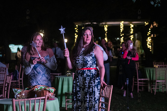 Riverside Park Conservancy - Riverside Revue Gala - Sakura Pak -