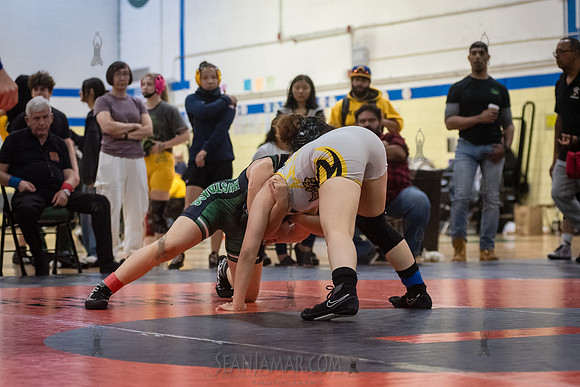 PSAL Girls Individual Championships - Harry S Truman HS - NYC -