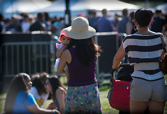 Afropunk Festival - Commodore Barry Park - BK USA - 2013