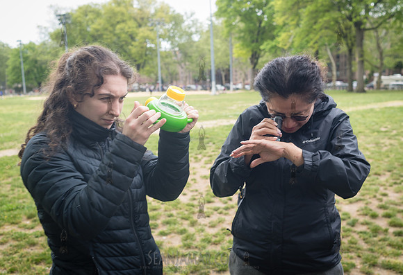 CPF Teacher Training - Queensbridge Park - NYC - 2024