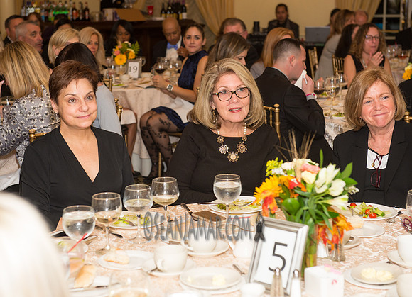 Bergen Volunteer Center - Hearts of Gold Dinner and Auction - The Stony Hill Inn - Hackensack NJ - 2017