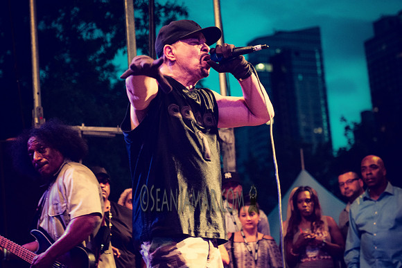 Body Count - Afropunk Festival - Commodore Barry Park - BK USA - 2014