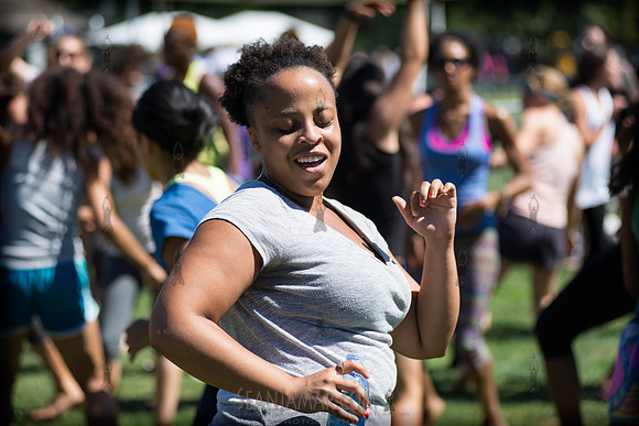 Afropunk Festival - Commodore Barry Park - BK USA - 2013