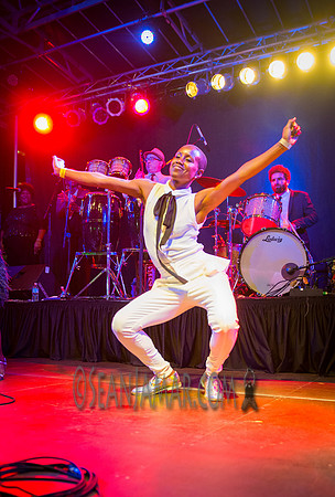 Sharon Jones & the Dap Kings - Afropunk Festival - Commodore Barry Park - BK USA - 2014