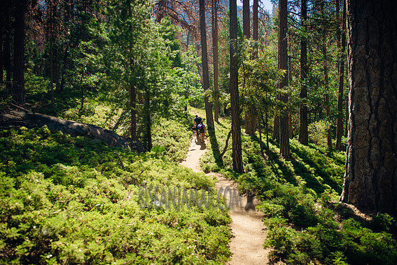 Adventure Day - Chilnualna Falls Hike - Yosemite National Park - Wawona CA - 2017