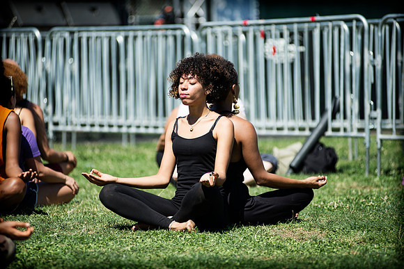 Afropunk Festival - Commodore Barry Park - BK USA - 2013