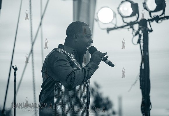 2019-07-06 NYC SummerStage - Ralph McDaniels Soul and Funk Jam - Springfield Park - NYC-100.jpg