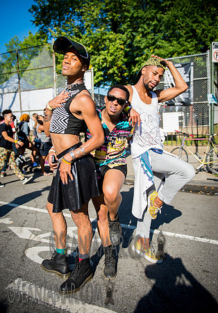 Afropunk Festival - Commodore Barry Park - BK USA - 2014
