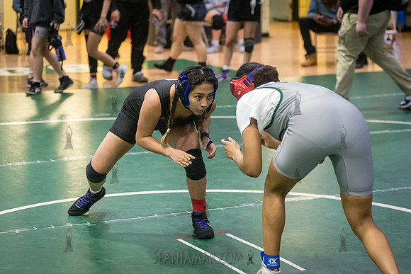 PSAL Girls Individual Championships - Harry S Truman HS - NYC -