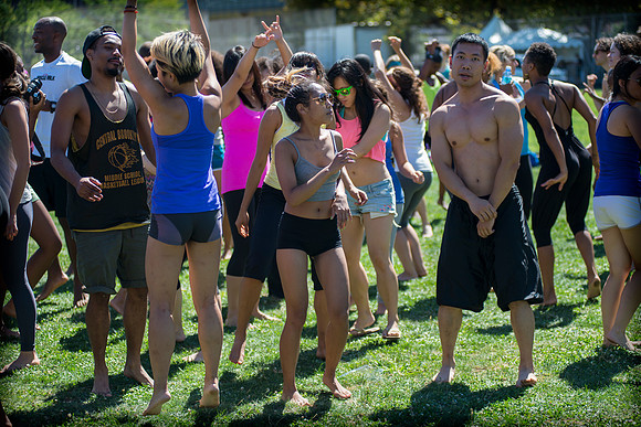 Afropunk Festival - Commodore Barry Park - BK USA - 2013