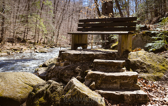 Adventure Day - Hacklebarney State Park - Chester NJ - 2021