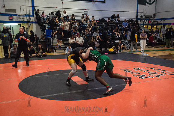 PSAL Girls Individual Championships - Harry S Truman HS - NYC -