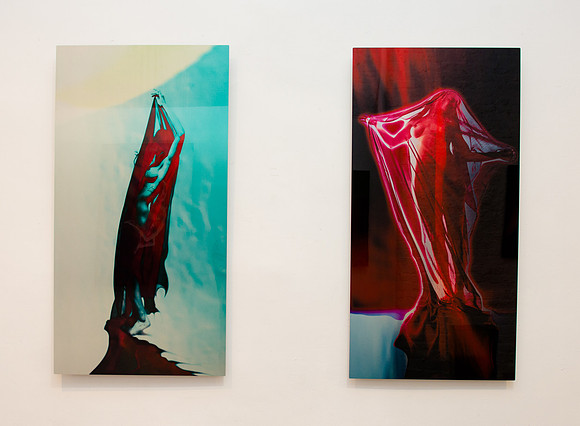 Allison Harrell Panel Shots - Ward Nasse Gallery - NYC - 2017