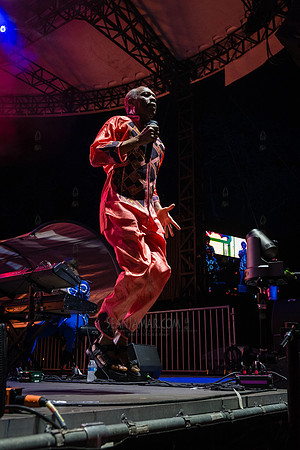 NYC SummerStage - Femi Kuti - Rumsey Playfield - NYC - 2025