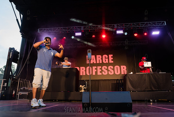 Large Professor - NYC SummerStage - Fat Beats 30th Anniversary -