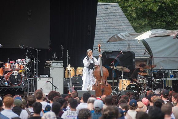 Aneesa Strings - CPF SummerStage - Yussef Dayes - Rumsey Playfie