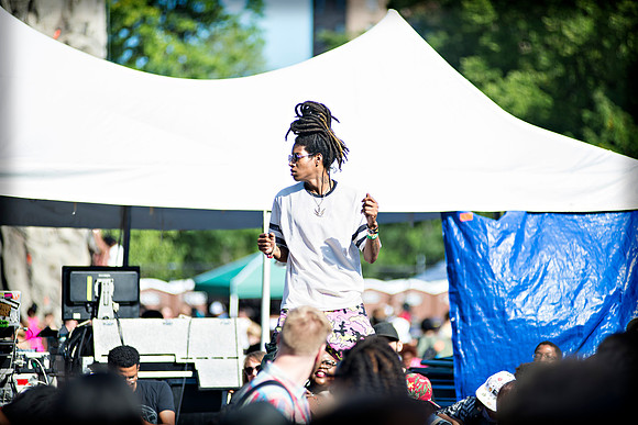 Afropunk Festival - Commodore Barry Park - BK USA - 2013