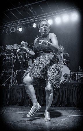 Sharon Jones & the Dap Kings - Afropunk Festival - Commodore Barry Park - BK USA - 2014