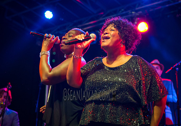 Sharon Jones & the Dap Kings - Afropunk Festival - Commodore Barry Park - BK USA - 2014