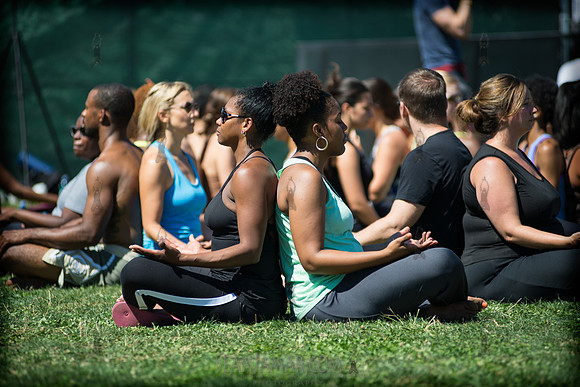 Afropunk Festival - Commodore Barry Park - BK USA - 2013