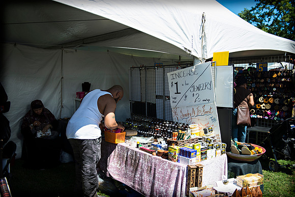 Afropunk Festival - Commodore Barry Park - BK USA - 2013