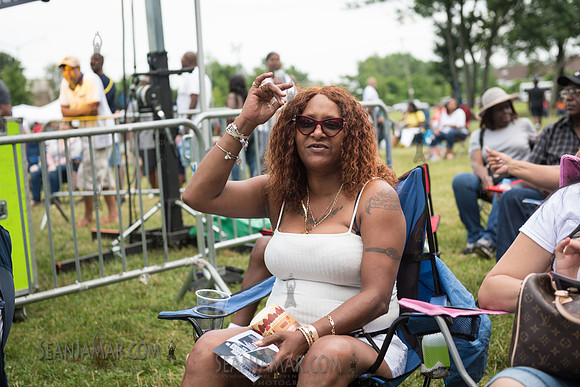 2019-07-06 NYC SummerStage - Ralph McDaniels Soul and Funk Jam - Springfield Park - NYC-57.jpg