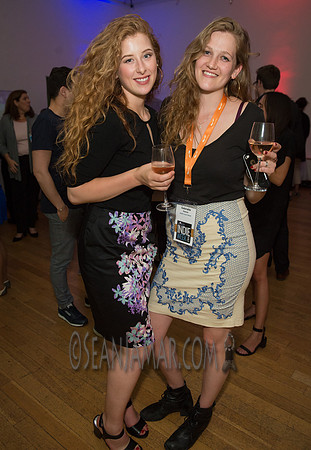 France Rocks Summerfest Opening Soirée - The French Embassy - NYC - 2016