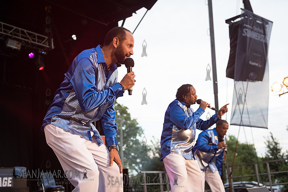 2019-07-06 NYC SummerStage - Ralph McDaniels Soul and Funk Jam - Springfield Park - NYC-114.jpg