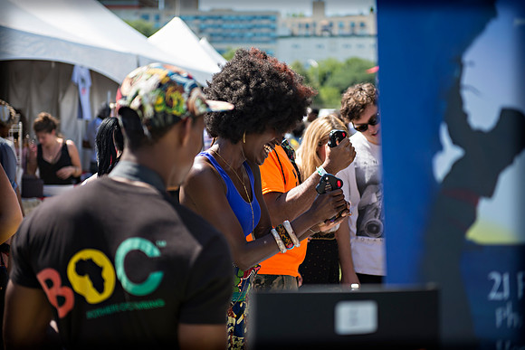 Afropunk Festival - Commodore Barry Park - BK USA - 2013