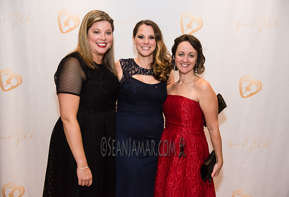 Heart of Gold Gala - The Fiesta - Woodridge NJ - 2016