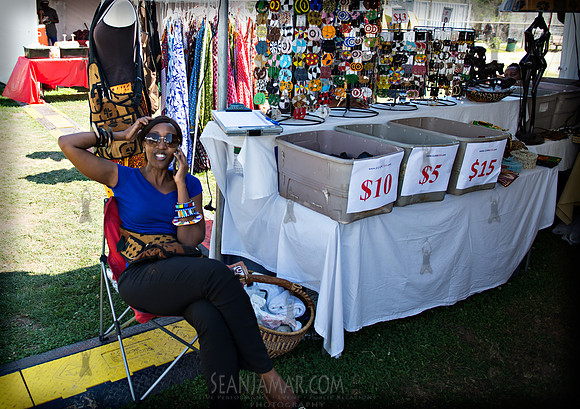 Afropunk Festival - Commodore Barry Park - BK USA - 2013