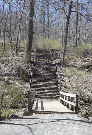 Adventure Day - Hacklebarney State Park - Chester NJ - 2021