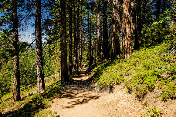 Adventure Day - Chilnualna Falls Hike - Yosemite National Park - Wawona CA - 2017