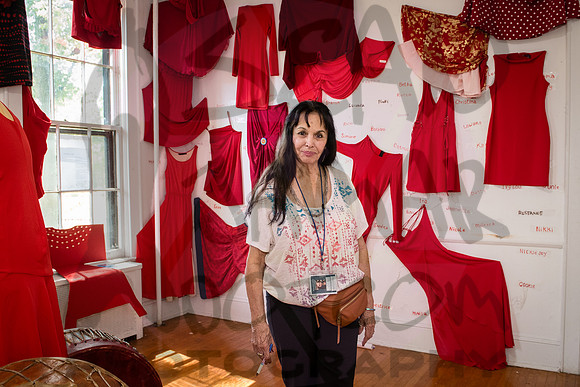 American Indian Community House - House Fest - Governors Island