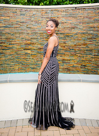 Tamorae Binns - Senior Prom - NJ - 2017