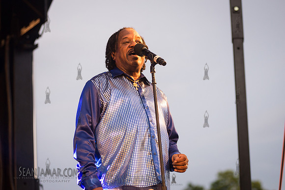 2019-07-06 NYC SummerStage - Ralph McDaniels Soul and Funk Jam - Springfield Park - NYC-139.jpg